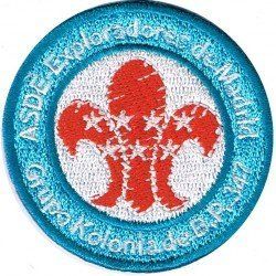 157207 DISTINTIVO...