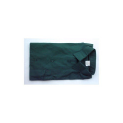 104431 CAMISA VERDE RUTA...
