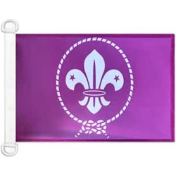 BANDERA SCOUT VIOLETA 45X30