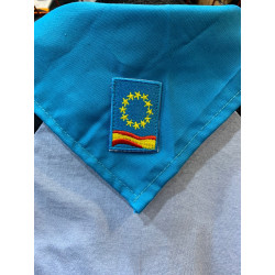 107010 PAÑUELO EUROPEO
